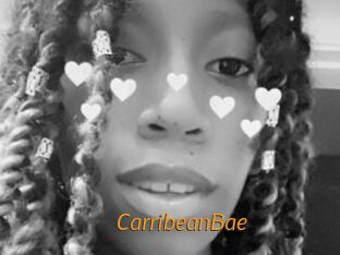 CarribeanBae Porn University