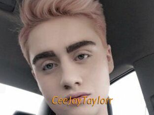 CeeJayTaylorr