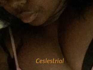 Ceslestrial