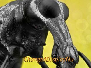 ChangedDisplayNu