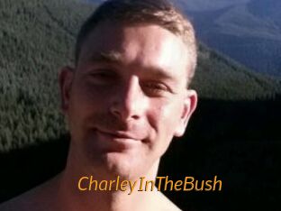 CharleyInTheBush