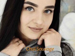 ChatSauvage