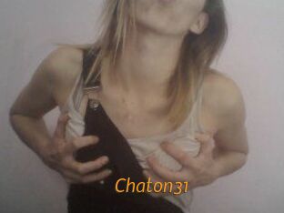 Chaton31