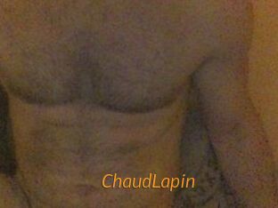 ChaudLapin