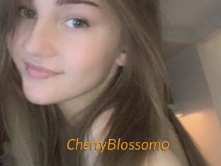CherryBlossom0