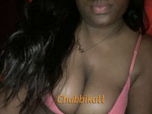 Chubbikatt