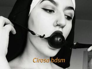 Cirosa_bdsm Porn University