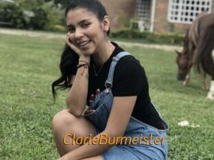 ClarieBurmeister