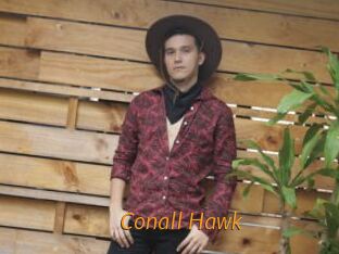 Conall_Hawk
