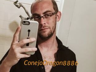 ConejoDragon8886