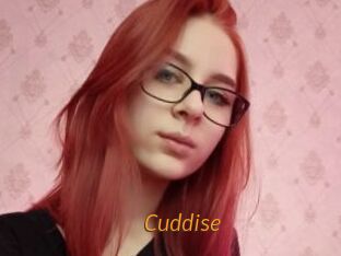Cuddise