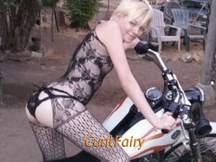 CuntFairy