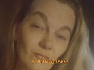 Curiousflower