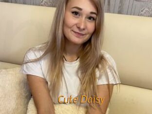 Cute_Daisy