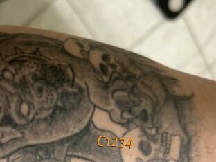 C1234