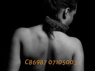 C86987-07105003