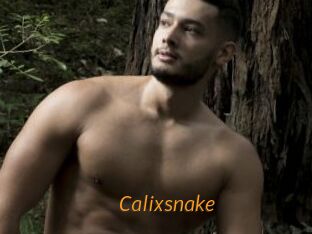 Calixsnake