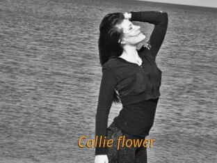 Callie_flower