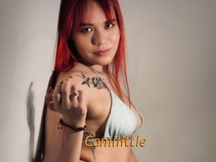 Camilittle