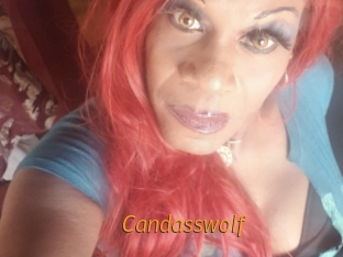 candasswolf Porn University