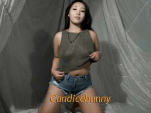 Candicebunny
