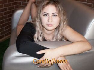 Candieflower