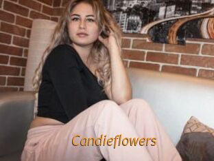Candieflowers