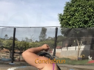 Canelabrun