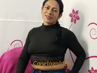 canelagolden Porn University