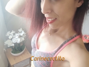 Carinecectito