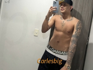 carlesbig Porn University