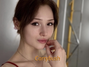 Carrybush