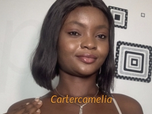 cartercamelia Porn University