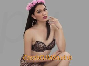 CassieCUMSalot18