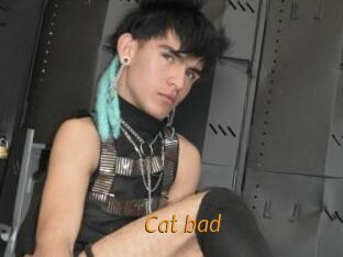 Cat_bad