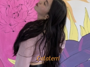 Cataterri