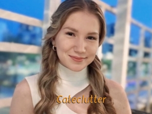 Cateclutter