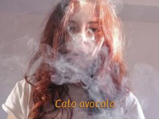 Cato_avocato