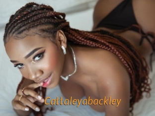 Cattaleyabackley