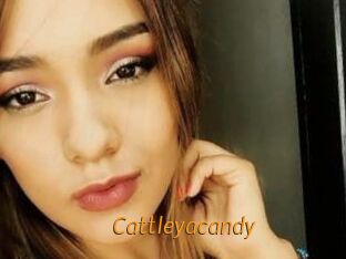 Cattleyacandy