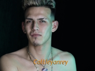 cattleyanrey Porn University