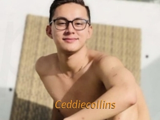 Ceddiecollins