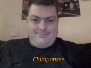 Chimpanzee