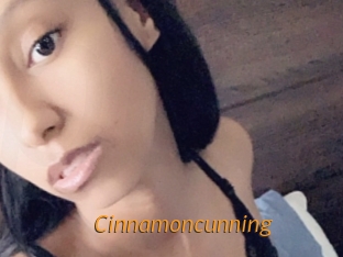 cinnamoncunning Porn University