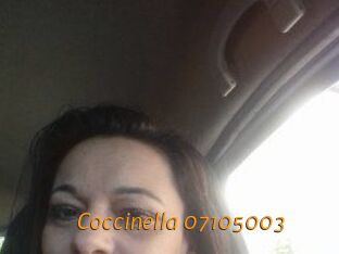 Coccinella-07105003