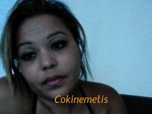 cokinemetis Porn University