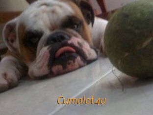 Cumalot4u