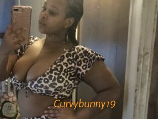 Curvybunny19
