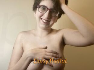 DaisyTheKat
