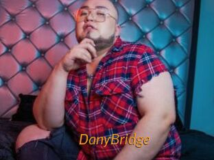 DanyBridge
